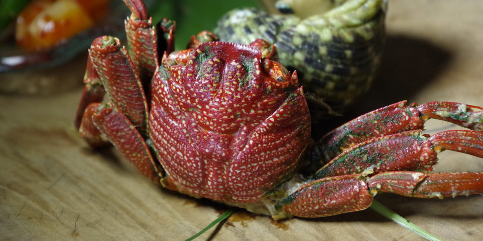 Quenelles lyonnaises à la plancha, tourteau et lardons