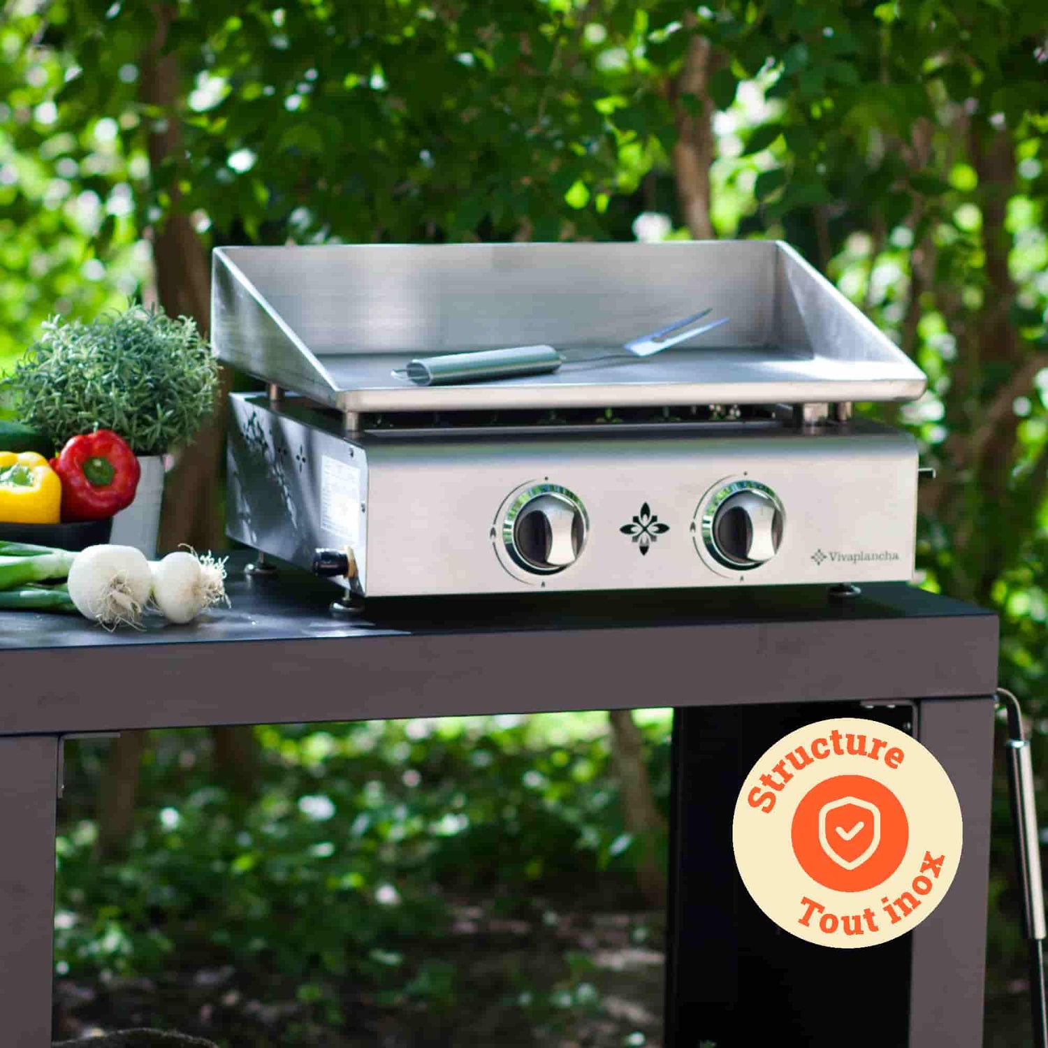 Plancha Vivaplancha de acero inoxidable colocada sobre un carrito exterior, acompañada de verduras frescas, con una insignia “Estructura totalmente de acero inoxidable” en la parte inferior derecha.